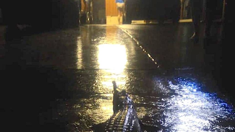 «Έπνιξαν» την Αυστραλία οι βροχές – Κροκόδειλοι βγήκαν στους δρόμους – VIDEO & ΦΩΤΟΓΡΑΦΙΕΣ